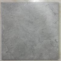 لِئو leo - ِلئو طوسی نیلوفر بیرجند