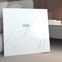 هائولیت پولیش صالح سرام