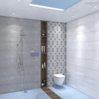 پرنیا طوسی زیبا سرام