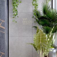 پاور طوسی روشن پرسلان مات آپادانا