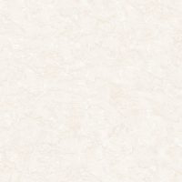 دهبید نانو پولیش رزن تایل